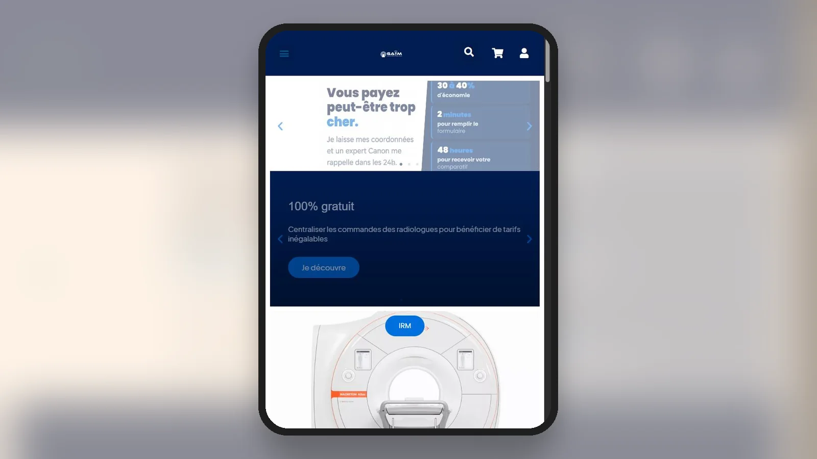 Page d'accueil du site GAIM (Legaim) réalisé par The Wiker